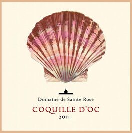 Coquille D'oc Blanc