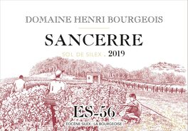 Sancerre Sol De Silex