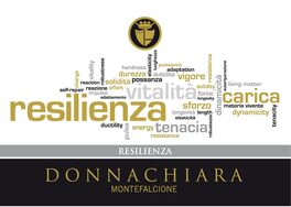 Resilienza