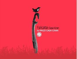 Pago Casa Gran