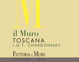 Il Muro