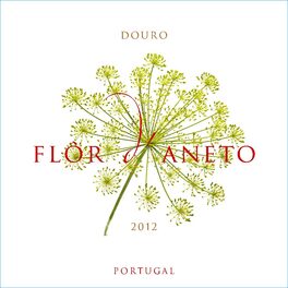 Flor D'aneto