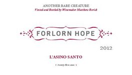L'asino Santo