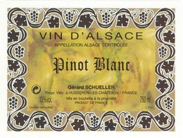 Pinot Blanc