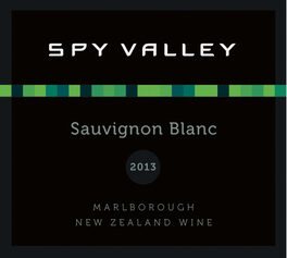 Spy Valley