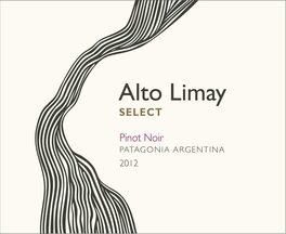 Alto Limay