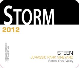 Storm
