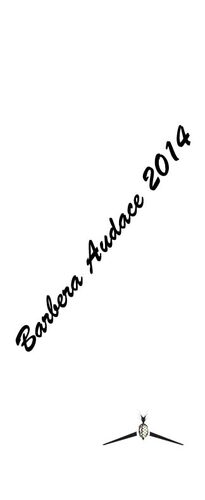 Audace
