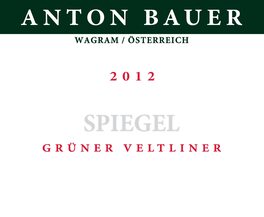 Anton Bauer Spiegel