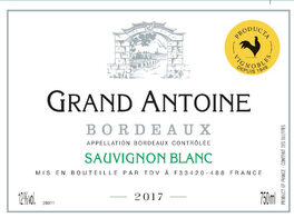 Grand Antoine White Wine
