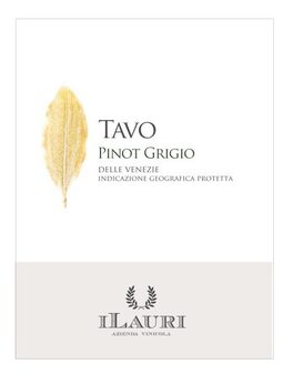 Tavo
