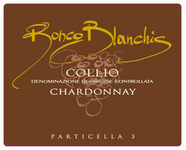 Particella 3