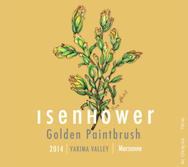 Golden Paintbrush