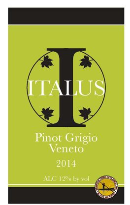 Pinot Grigio