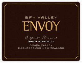 Spy Valley Envoy