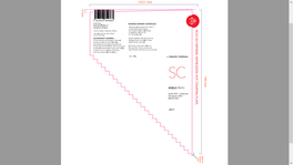 Scielo Tinto