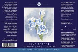 Lake Effect