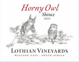 Horny Owl
