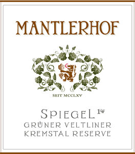 Spiegel Gedersdorf