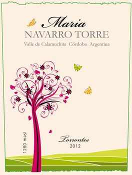 Maria Navarro Torre