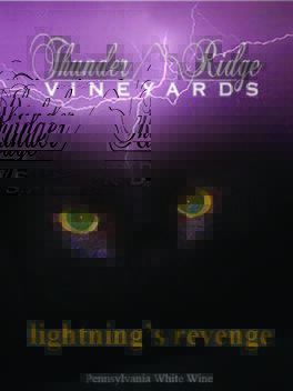 Lightnings Revenge