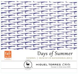 Days Of Summer