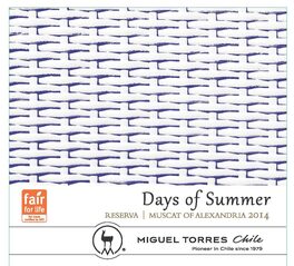 Days Of Summer