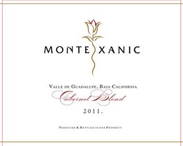 Monte Xanic Cabernet Blend