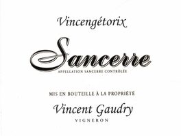 Vincentgetorix