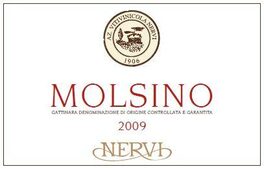 Molsino