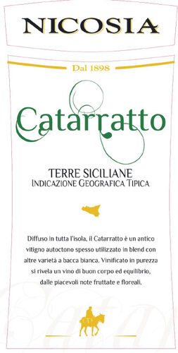 Catarratto