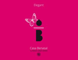 Casa Benasal Elegant